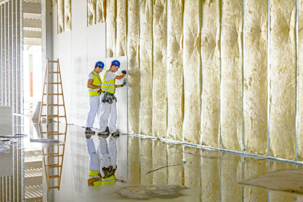 Best Eco-Friendly Insulation in Crump, TN